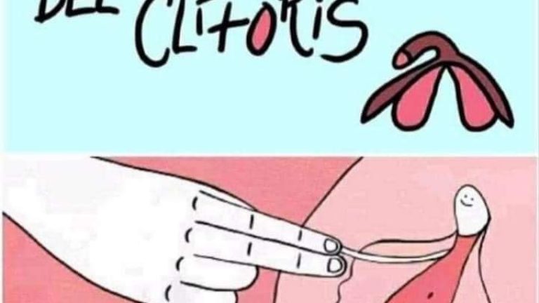 DESCUBRE LAS 10 CURIOSIDADES DEL CLÏTORÜS