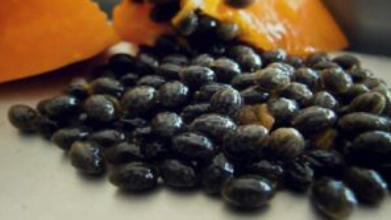 Beneficios de comer semillas de papaya.