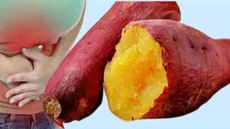 Combate La Gastritis, El Reflujo, Ardor de Estómago, Úlceras y más